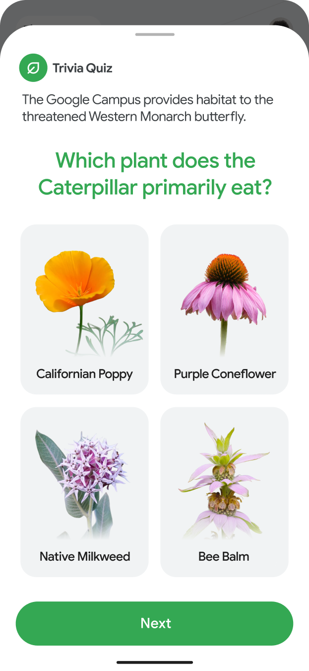 Trivia Quiz — Which plant does the Caterpillar primarily eat?